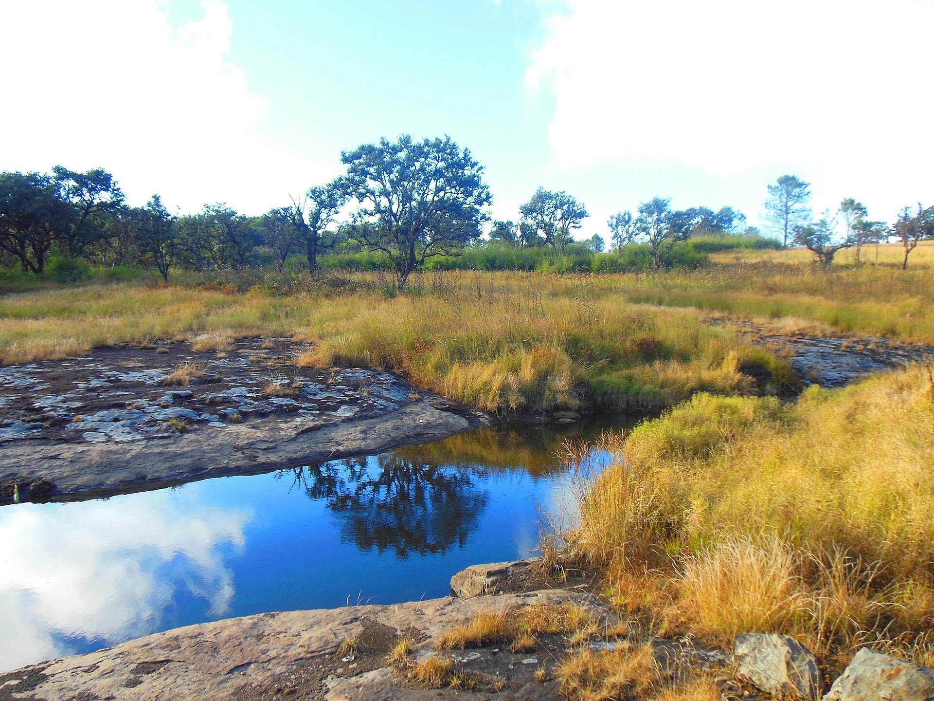 1920px-Phawngpui_national_park
